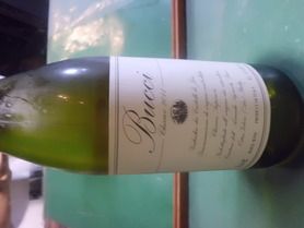 ブッチ・ヴェルディッキオ　マルケ州