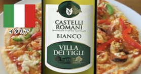 カステッリ・ロマ―ニ・ヴィッラ・デル・ティグリ（ＤＯＣカステッリ・ロマ―ニ）【イタリア】（ボトル🍾）
