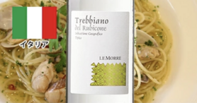 トレッビアーノ・レ・モーレ【イタリア】（グラス🥂） 