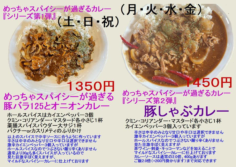 めっちゃスパイシーが過ぎるカレー