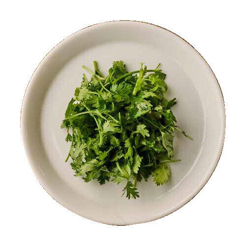 パクチー Coriander