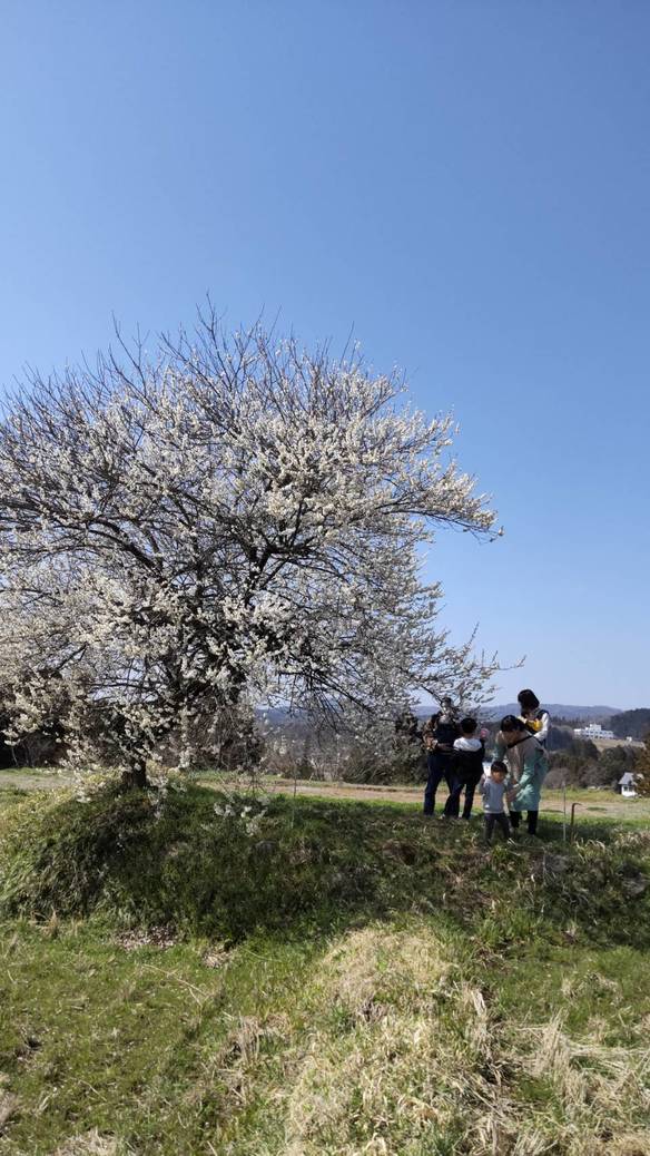 シロさんのごはんの写真