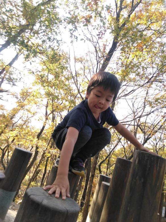 シロさんのごはんの写真