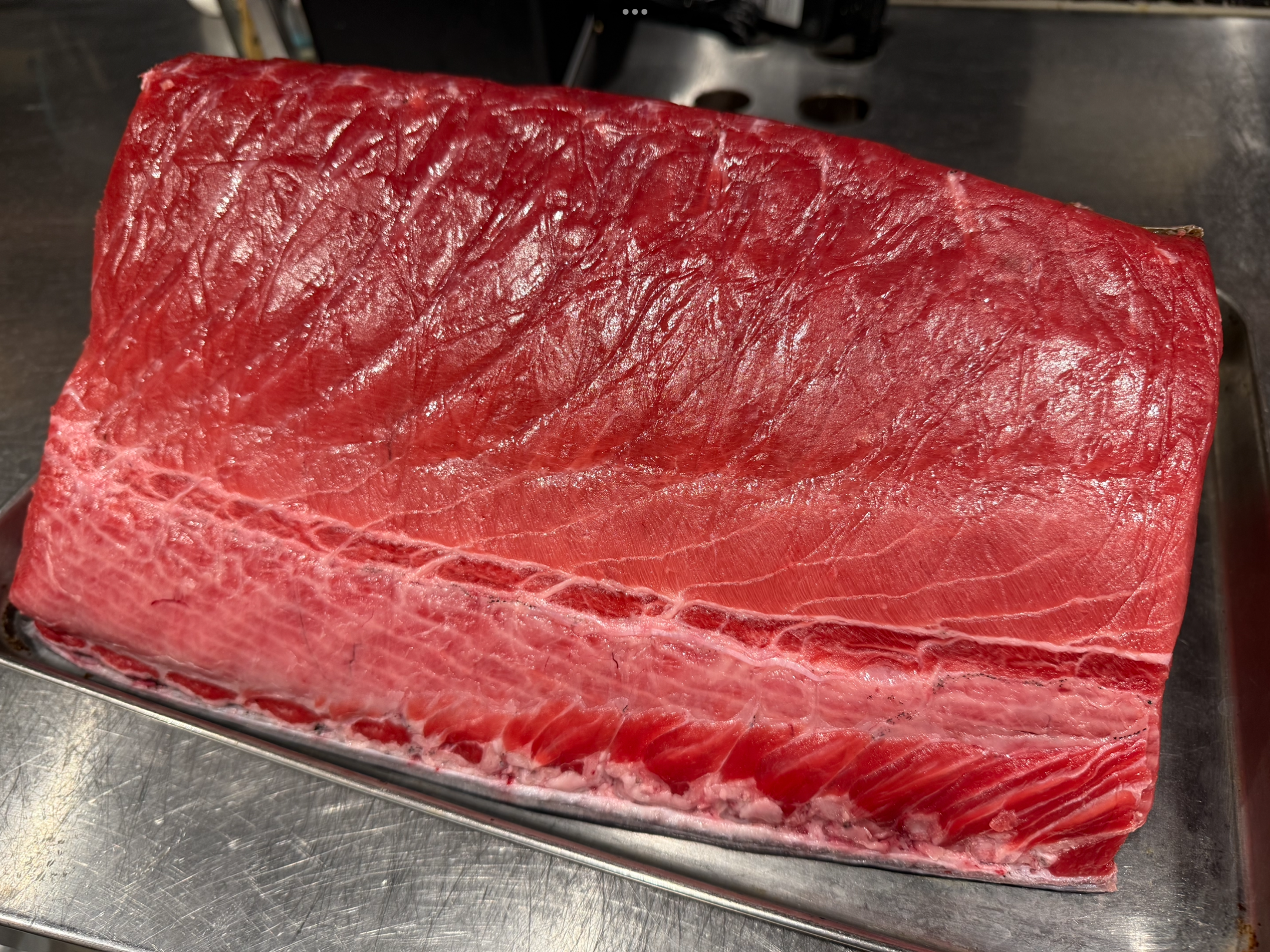 本マグロ熟成中！