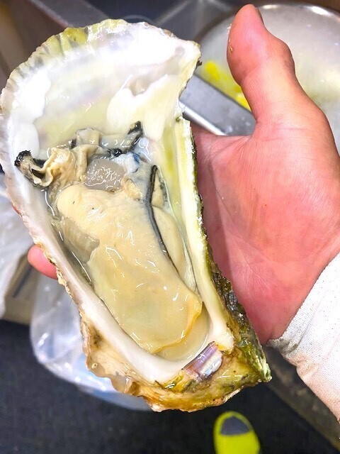 主に岩手の大船渡の殻付き牡蠣🦪を使用、毎回大きいけど、これはデカすぎで口が、殻付きだらけに🤣🎉🫡