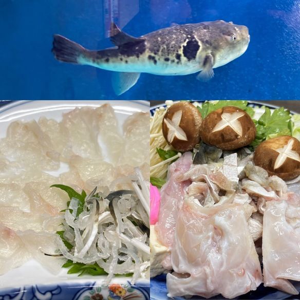 #予約料理  #ふく料理  #活ふぐ  #てっさ  #てっちり鍋  〆はふぐ雑炊  満足して頂けました ご利用頂き有難うございました。  豊明グルメ @osiyokujidokoro_misaki  https://instagram.com/osiyokujidokoro_misaki?utm_medium=copy_link