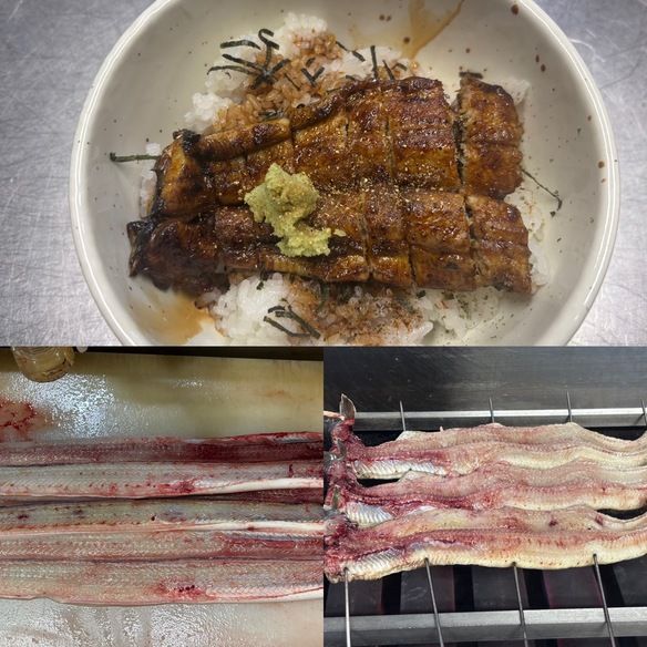 #うなぎ  #天然うなぎ 入荷 うなぎが食べたくなる時期ですね 夏バテに スタミナ補給栄養満点  @osiyokujidokoro_misaki https://instagram.com/osiyokujidokoro_misaki?utm_medium=copy_link