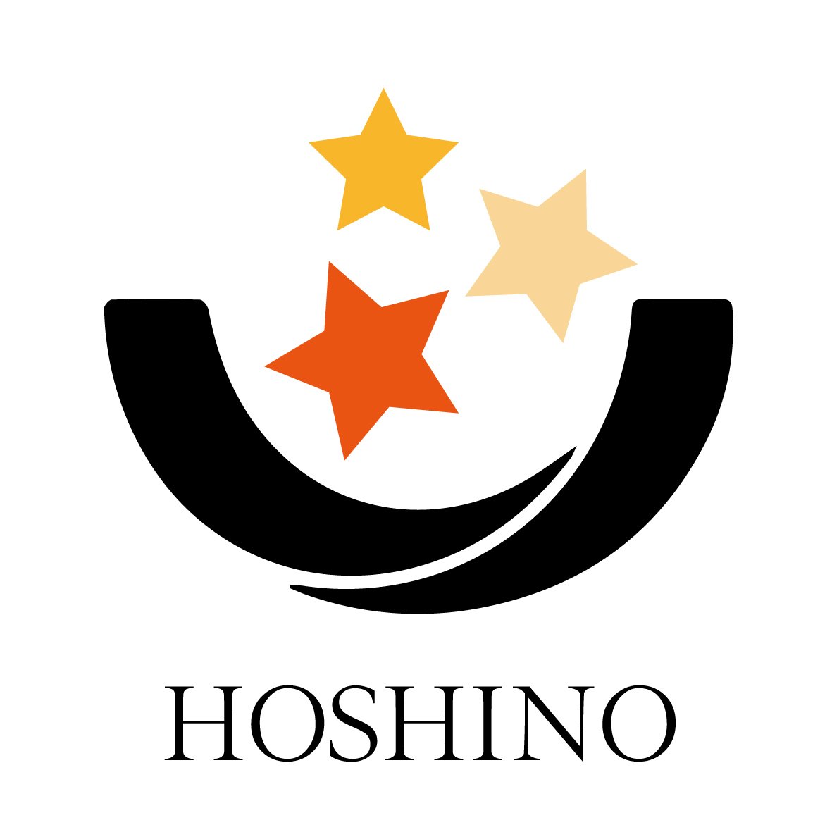 国産牛ステーキ丼専門店 ほし乃