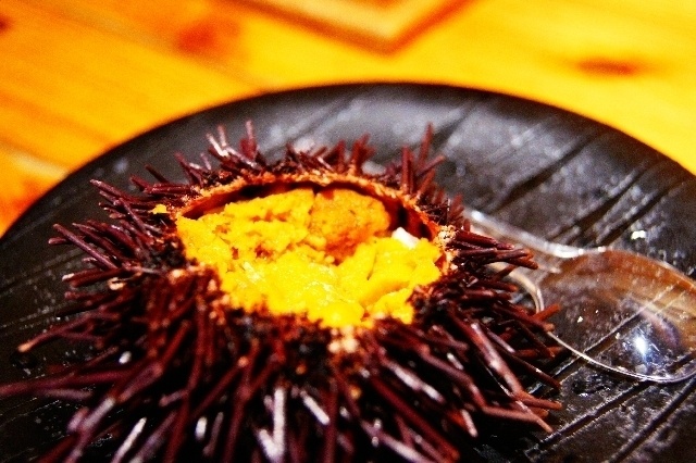 絶対食べて欲しい！うにならここ！銀座のうにのお店4選