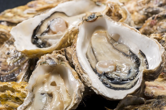 【恵比寿】牡蠣好き必見!新鮮でプリップリな生牡蠣や1kgの「牡蠣鍋」で牡蠣を大満喫
