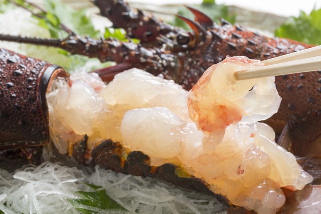 千葉県と言ったら伊勢海老?!プリプリの新鮮な伊勢海老を味わえるお店４選