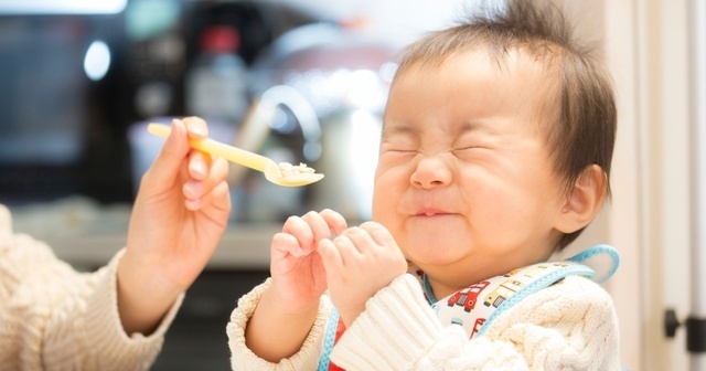 【2025年最新】富山の子連れランチ8選！駅近や離乳食あり、キッズスペース完備など幅広く紹介