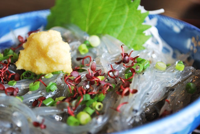 【2016年】今年もついに解禁！江ノ島の絶品グルメ「しらす丼」のお店まとめ