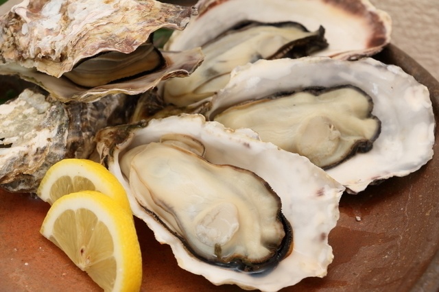 【期間限定】生牡蠣やカキフライなど人気料理20種が食べ放題で牡蠣づくし！『ゼネラル・オイスター』