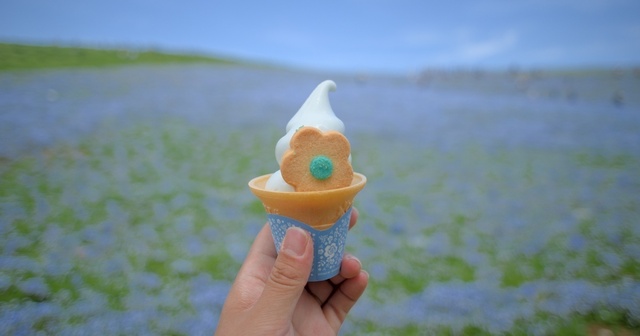 ネモフィラやコキアが有名！ひたち海浜公園の中の飲食スポット6選