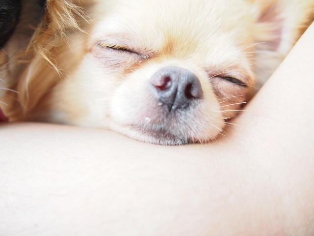 お疲れの人必見！99%疲労回復できる東京のくつろぎ系カフェ5選