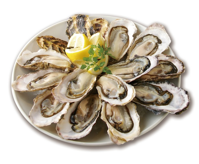 旬の真牡蠣が全品半額!?『ゼネラル・オイスター』が牡蠣好きに嬉しいキャンペーンを開始！