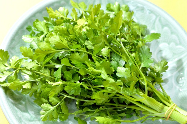 【5/23〜】“パクチー”マシマシは当たり前！昨年大好評の「パクチーフェス2018」が今年も開催