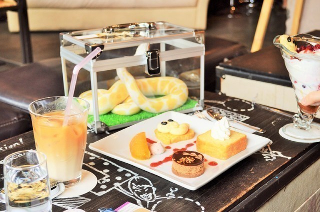 《ヘビカフェ原宿に現る!!》8/8OPEN！日本初の“ヘビカフェ”に行ってきた！