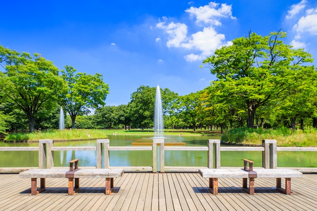 【代々木公園】人気カフェグルメをテイクアウトで楽しもう!お花見やピクニックにおすすめお店5選