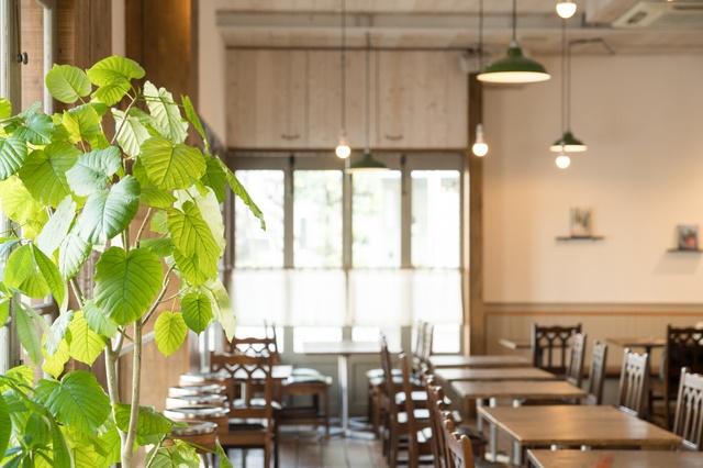 【表参道】人気なのにはワケがある！こだわり満載のおしゃれカフェ5選