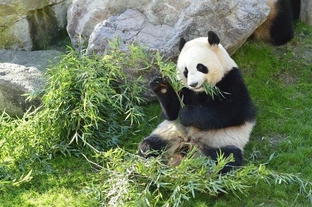 【上野】2,000円以内でコスパ抜群！安くてうまい食べ放題ランチ5選
