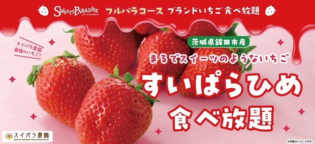 3/13〜│スイパラの最強いちごが食べ放題!限定のいちごスイーツも登場『スイーツパラダイス』