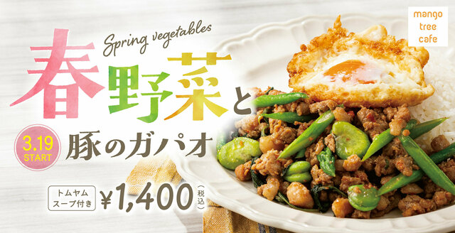 3/19｜期間限定！春野菜たっぷり！鮮やかな緑の「ガパオ」が『マンゴツリーカフェ』に新登場！