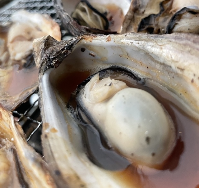 牡蠣好き必見!香川県イオンモール綾川に期間限定の牡蠣小屋が登場