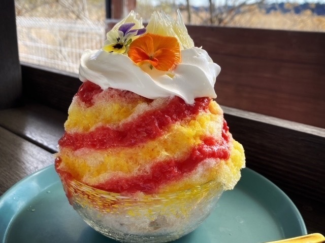 千葉県｜かき氷激戦区・佐原で今訪れたい注目店5選！気になる店をハシゴしてスタンプラリーを制覇