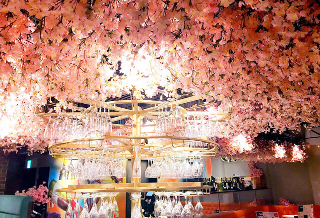 3/3〜｜お花見ワインバル開催🌸菜の花や鰹の春食材＆ワイン飲み放題を満喫『ESOLA』