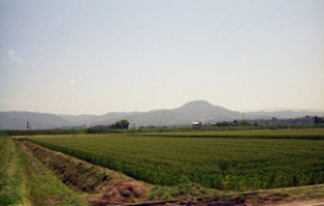 美食酒家 ゆめぜん　「冬の使者 ツル観光プラン」