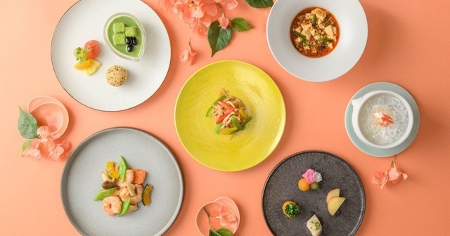 5/8〜10限定｜『都シティ 大阪本町』でカーネーション付き「母の日ランチ＆ディナー」提供