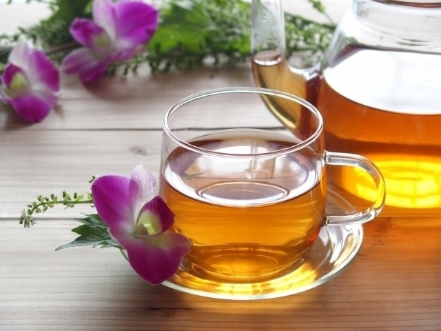 女子の間で人気!?「ルイボスティー」が飲める渋谷周辺のカフェまとめ