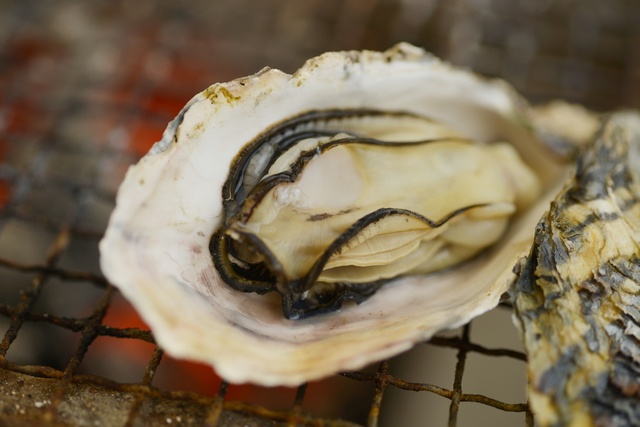 【冬季限定】まだ間に合う!!旬の牡蠣を一番おいしく味わえる期間限定の牡蠣小屋まとめ