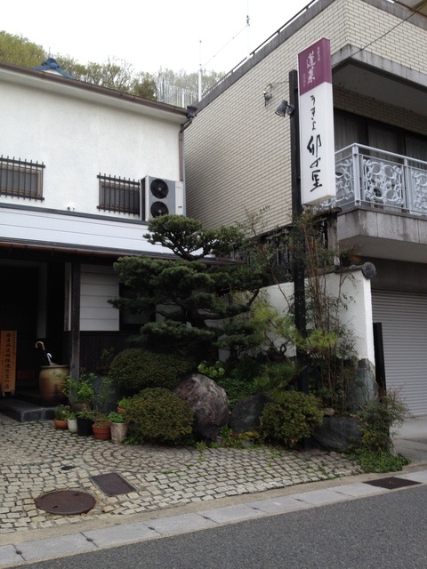 子連れに嬉しい授乳スペースや畳の部屋も！岐阜市でママ会につかえる和食店3選