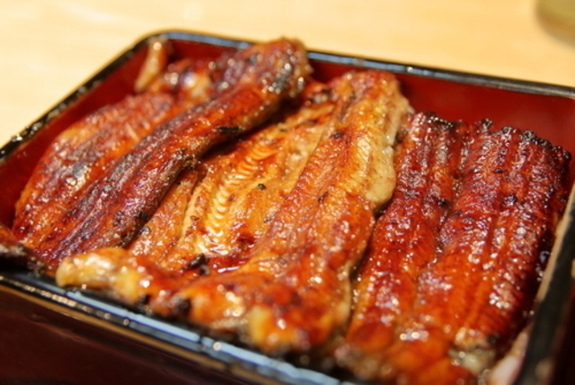 【高松】表面はカリッ、中はふわふわ！脂の乗ったうなぎを堪能出来る和食料理店5選