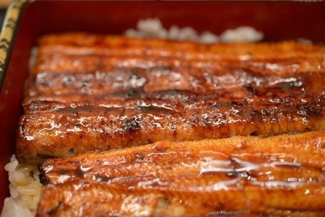 うな重、うな釜、うな串も！八王子で食べたい“うなぎ”の名店7選