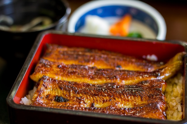 西麻布で必ず行ってみたい！西麻布周辺のうなぎ屋さん3選