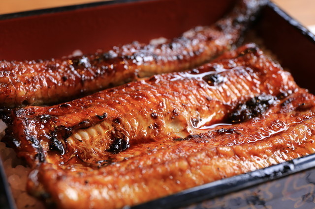 ふわふわジューシーなうなぎに舌鼓！中目黒周辺でおいしい鰻が食べられるお店5選