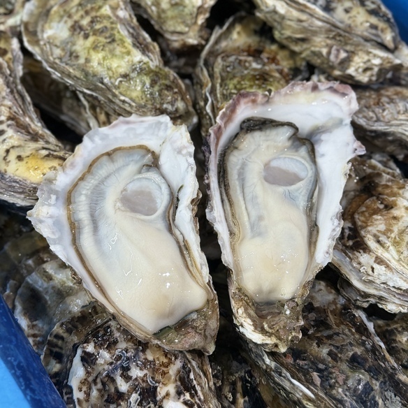 新宿の海鮮居酒屋『白金水産』の牡蠣