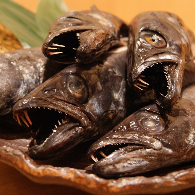 深海魚のえんざら